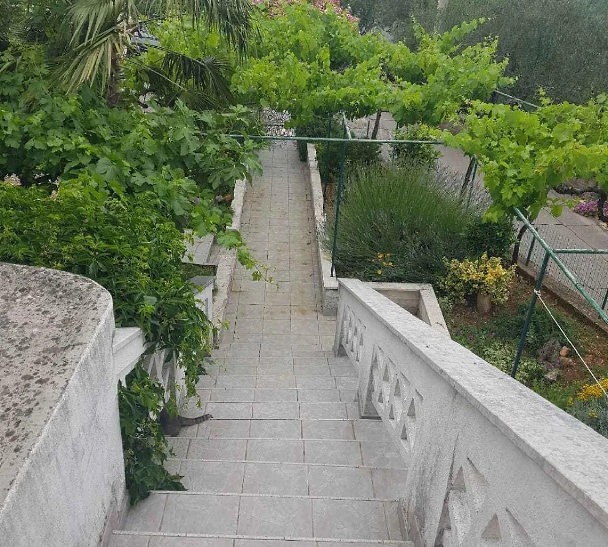 Apartments In Klanice/Insel Krk 14692 Sveti Ivan Dobrinjski Croatia
